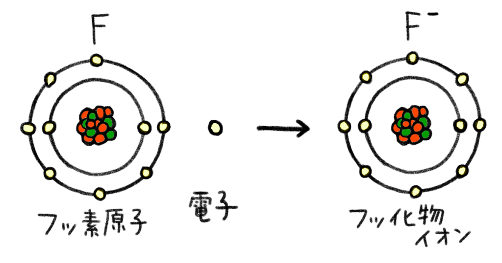 フッ化物イオン